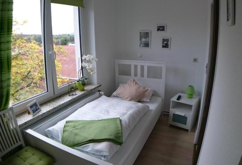 غرفة قياسية فردية, Cafe Meynen