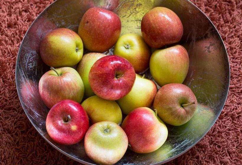 스위트, Elfbuchen