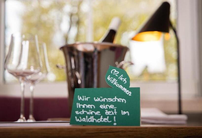 스탠다드 룸, Elfbuchen