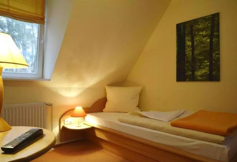 Standard Yhden Hengen Huone, Ellernhof