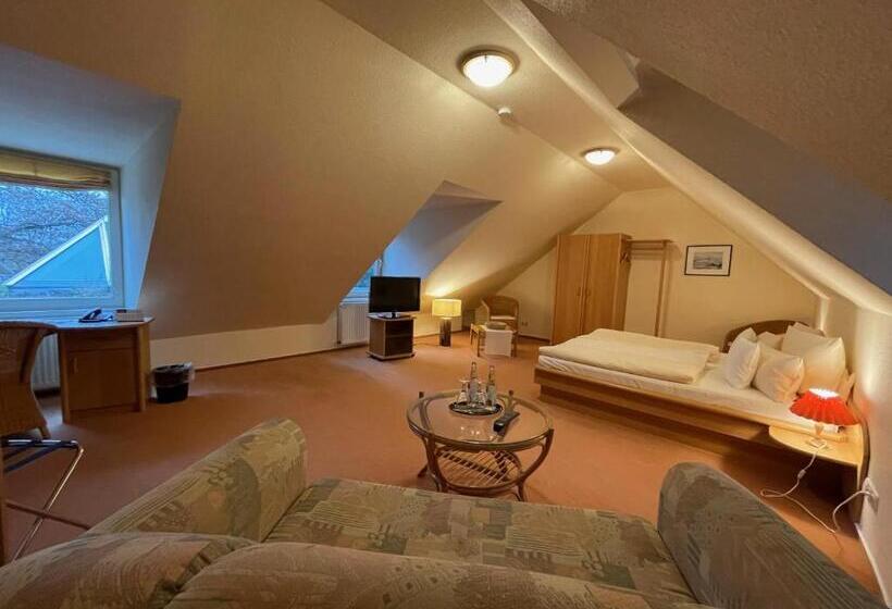 Номер Стандарт, Ellernhof