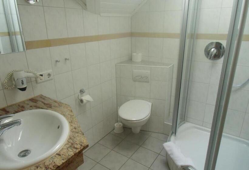 Одноместный Номер Basic, Gasthof Zum Goldenen Lamm