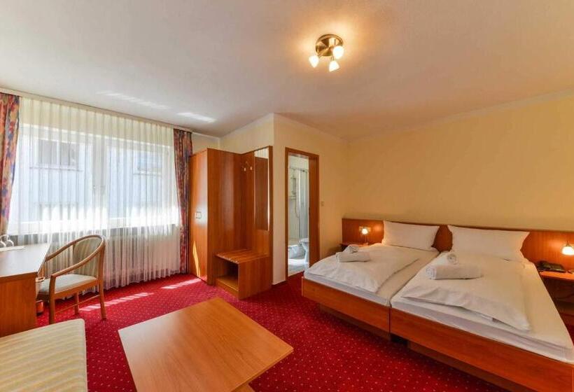 스탠다드 룸, Hessischer Hof