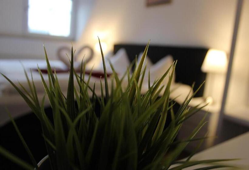 غرفة قياسية, Hof Von Oldenburg