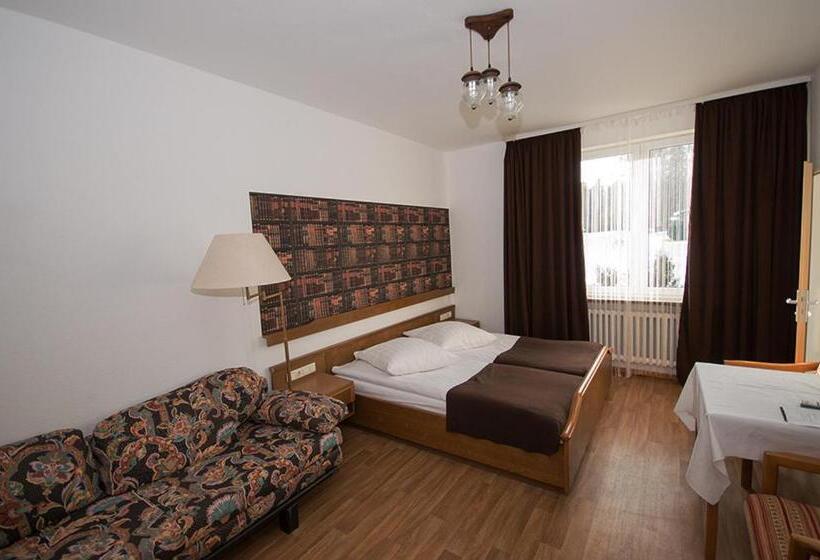 Номер Стандарт, & Hostel Drei Baren