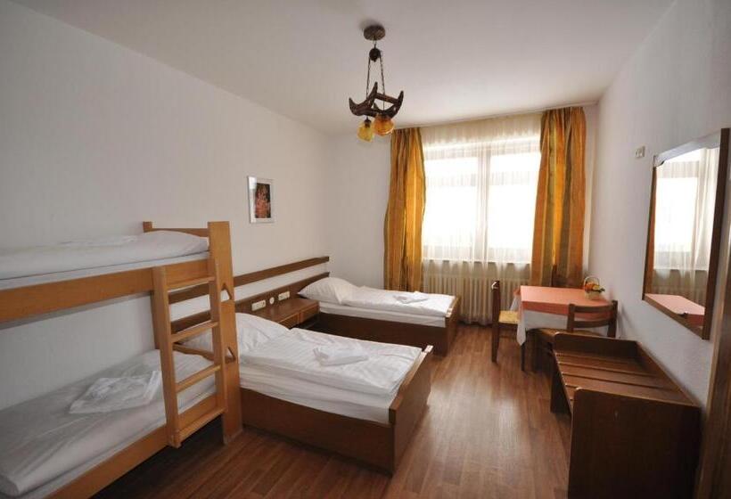 غرفة قياسية, & Hostel Drei Baren