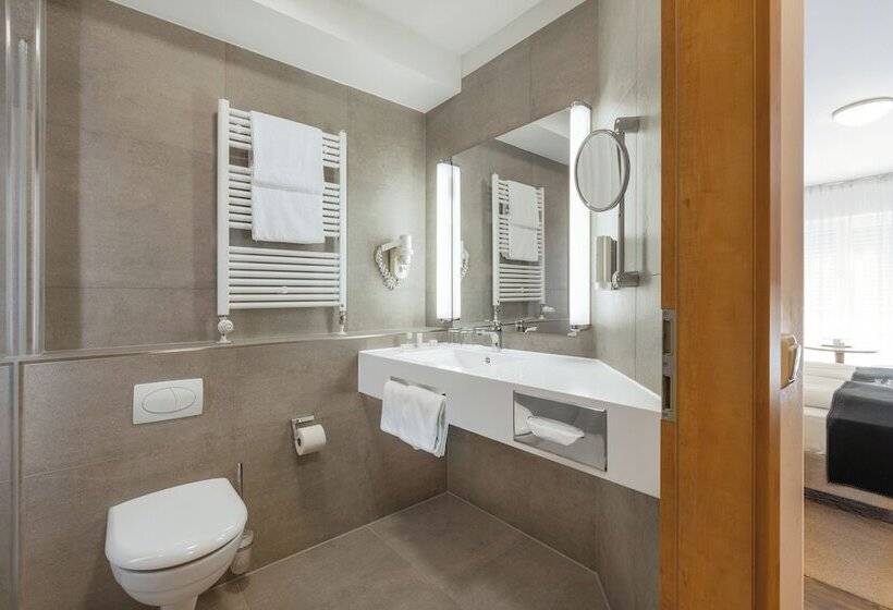 舒适型单人间, Landhotel Endhart