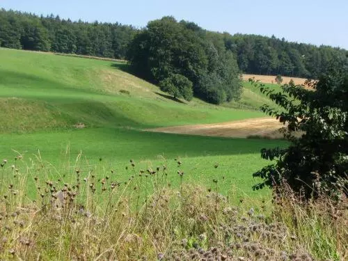 スタンダードシングルルーム, Landgasthof Zur Post