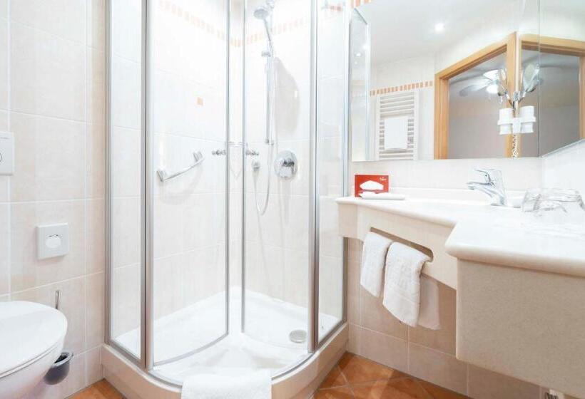 חדר סטנדרט, Brauerei Gasthof Höhn