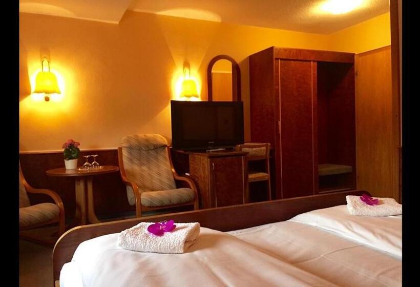 Номер Стандарт Трехместный, Zum Erbacher Hof