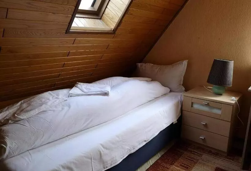 اتاق استاندارد یک تخته با سرویس بهداشتی مشترک, Zum Erbacher Hof