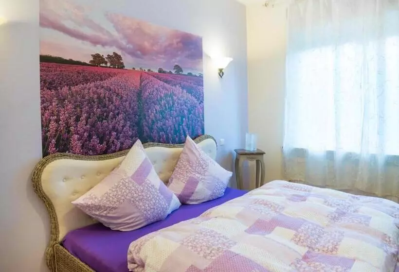 اتاق استاندارد با سرویس بهداشتی مشترک, Park Villa Gernsheim