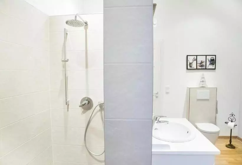 اتاق استاندارد با سرویس بهداشتی مشترک, Park Villa Gernsheim