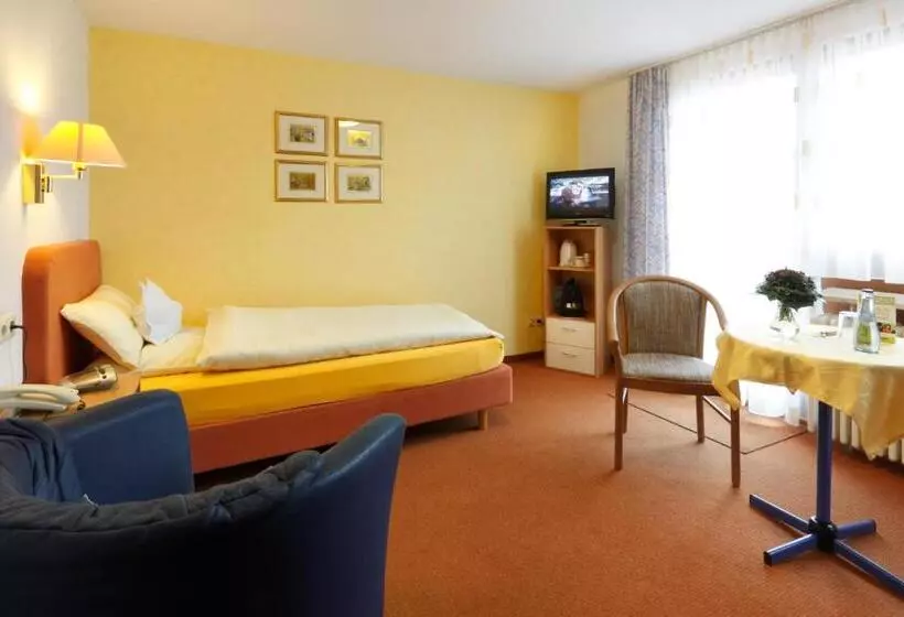 Standard Yhden Hengen Huone, Pension Stern
