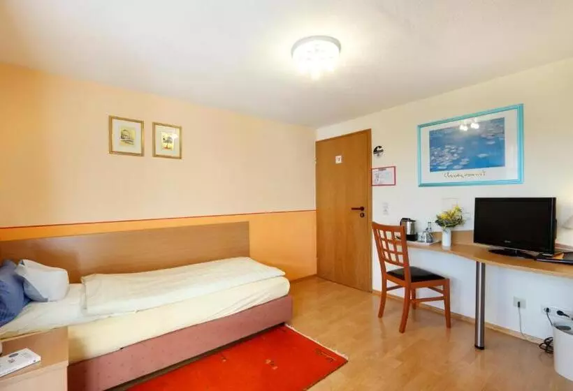 Standard Yhden Hengen Huone, Pension Stern