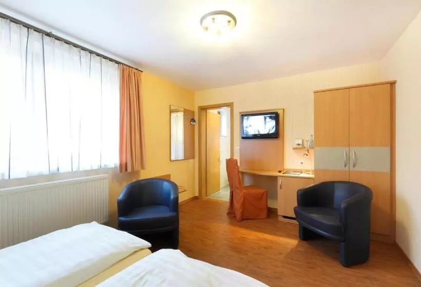 Standard-huone, Pension Stern