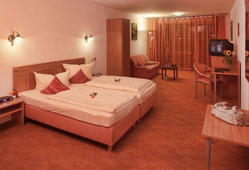 Номер Комфорт Индивидуальный, Land Und Aktivhotel Altmühlaue