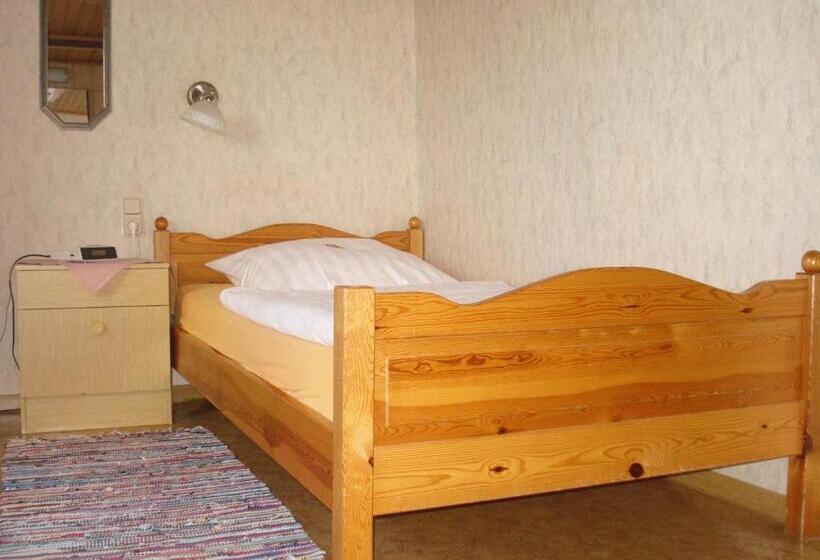 Номер Стандарт Индивидуальный, Sassor