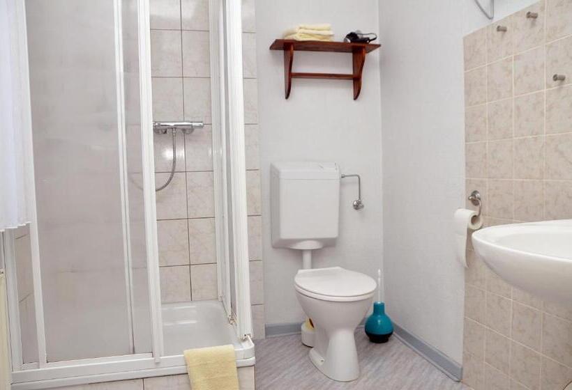 Номер Стандарт, Sassor