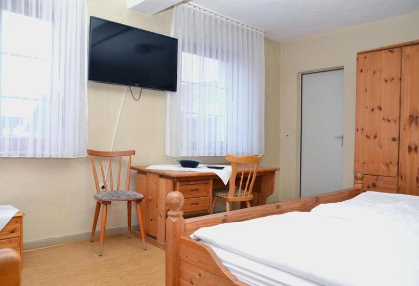 Номер Стандарт, Sassor