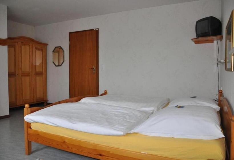 Номер Стандарт, Sassor