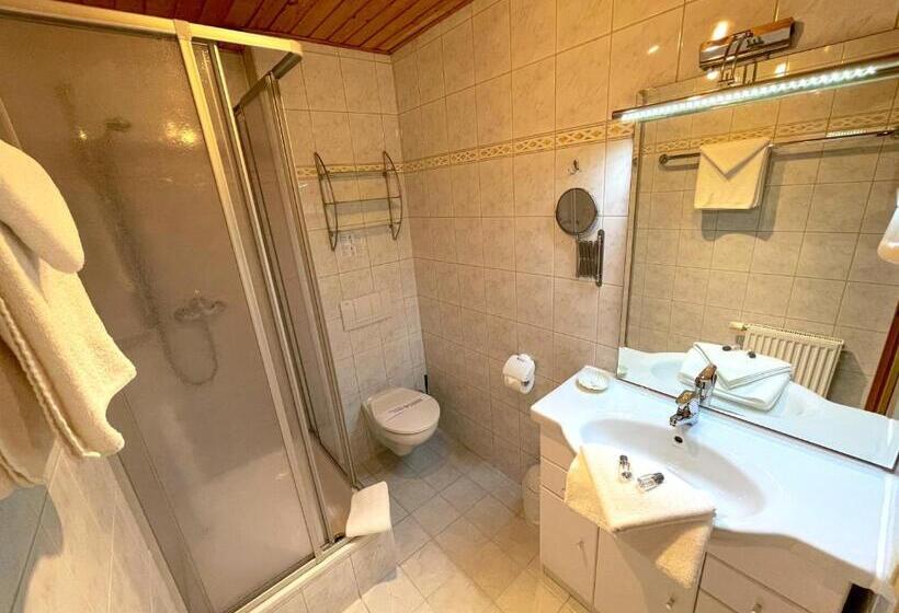 Номер Стандарт Индивидуальный, Land  Und Aktivhotel Altmühlaue