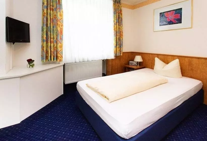 Standard Yhden Hengen Huone, Ochsen Hotel & Restaurant Binzen / Basel