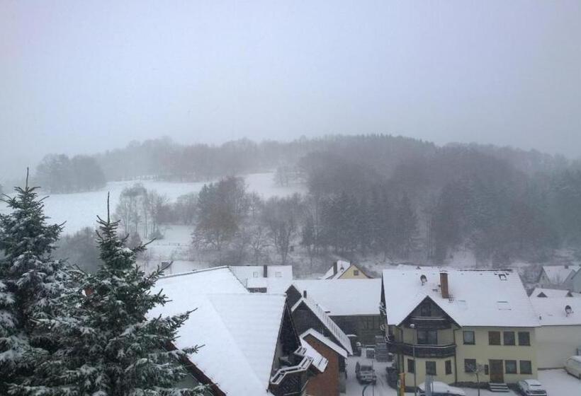 Номер Стандарт Трехместный, Landhotel Spessartruh