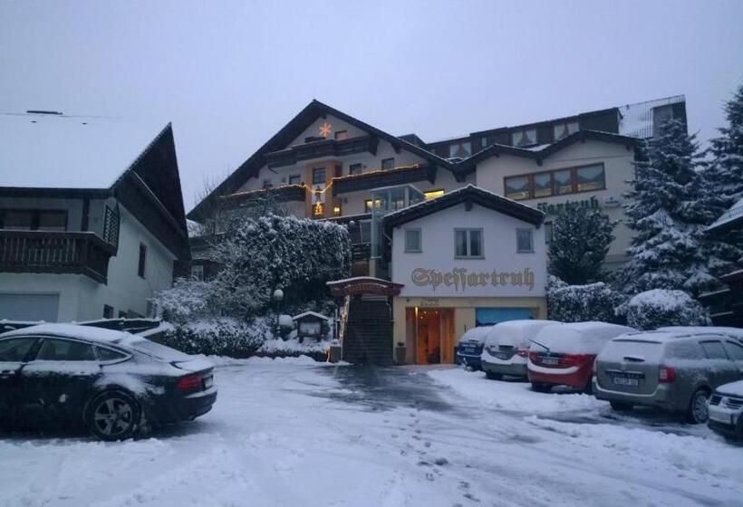 Номер Стандарт Трехместный, Landhotel Spessartruh