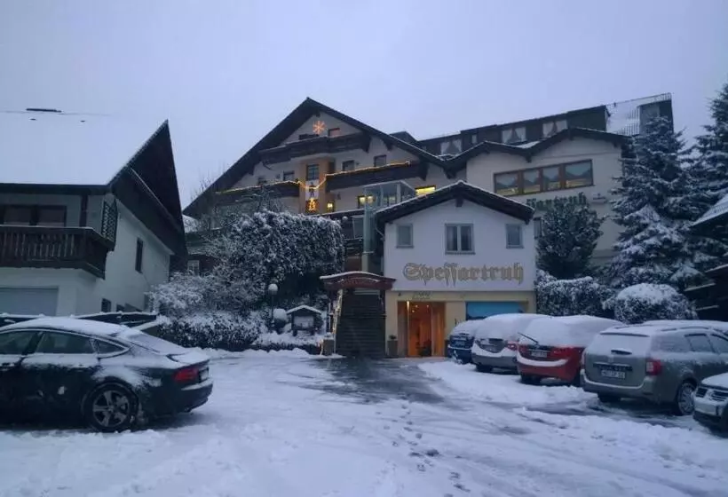 スタンダードトリプルルーム, Landhotel Spessartruh