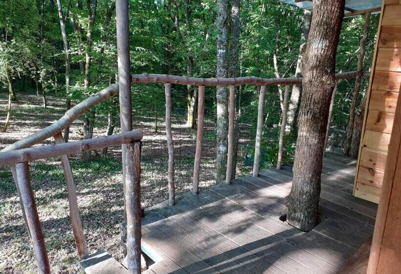 חדר סטנדרט עם טרסה, La Cabane De L Oiseau