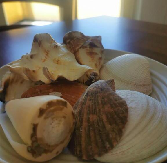 带露台的标准工作室, Cala San Giorgio Residence