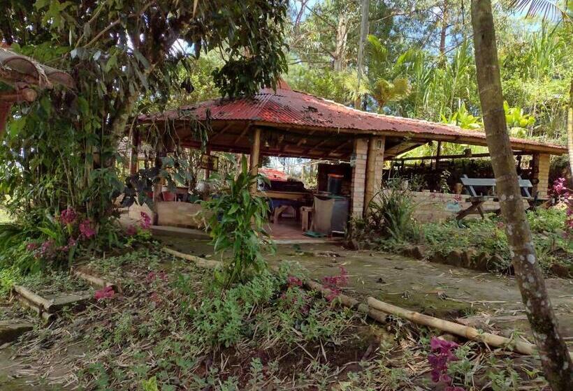 Номер Стандарт, Hostal Sueño Paraiso  Observatorio Astronómico