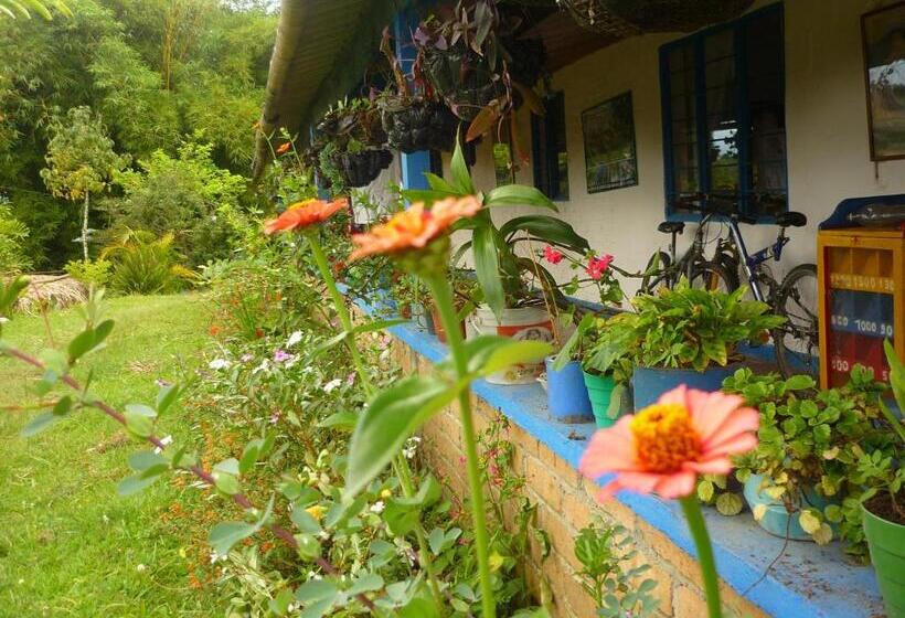 Номер Стандарт, Hostal Sueño Paraiso  Observatorio Astronómico