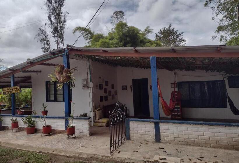 Номер Стандарт Индивидуальный, Hostal Sueño Paraiso  Observatorio Astronómico