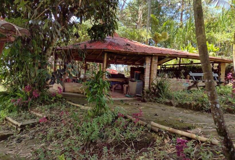 Номер Стандарт Индивидуальный, Hostal Sueño Paraiso  Observatorio Astronómico