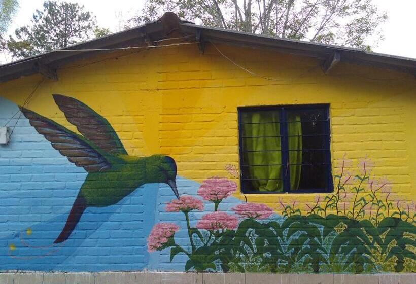 Номер Стандарт Трехместный, Hostal Sueño Paraiso  Observatorio Astronómico