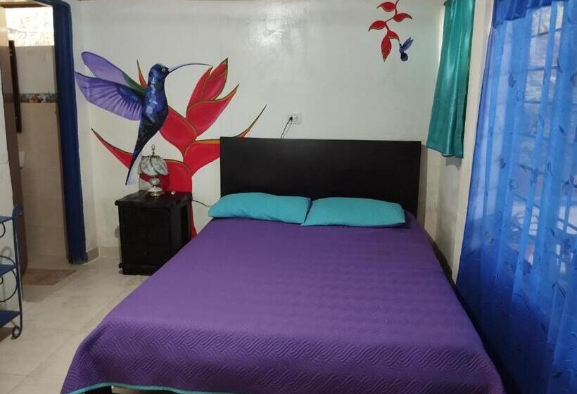 Номер Стандарт, Hostal Sueño Paraiso  Observatorio Astronómico