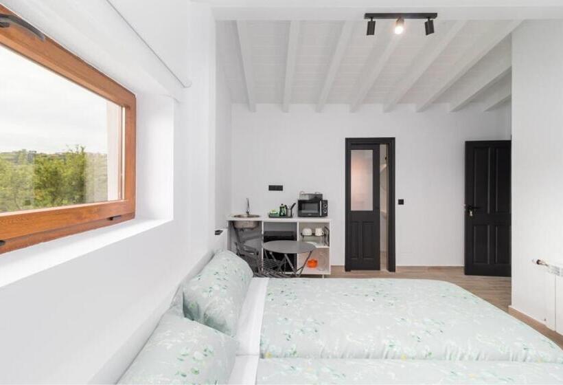 اتاق استاندارد, Benedicta Familys