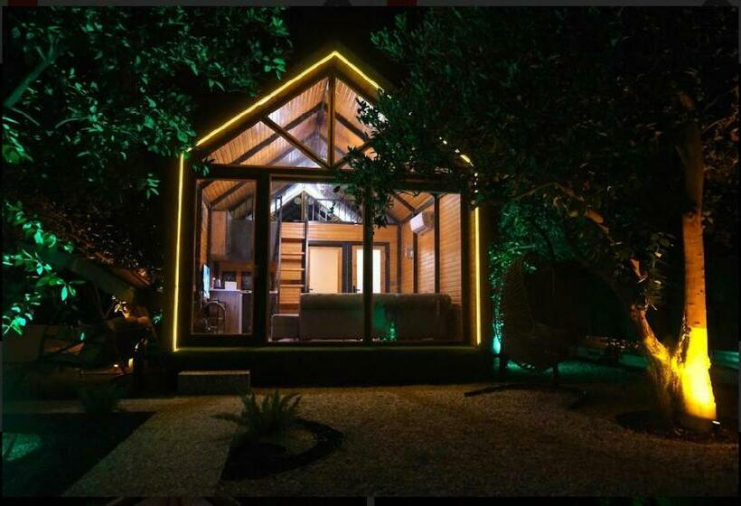 اتاق استاندارد چهارنفره با چشمانداز باغ, Collesium Garden