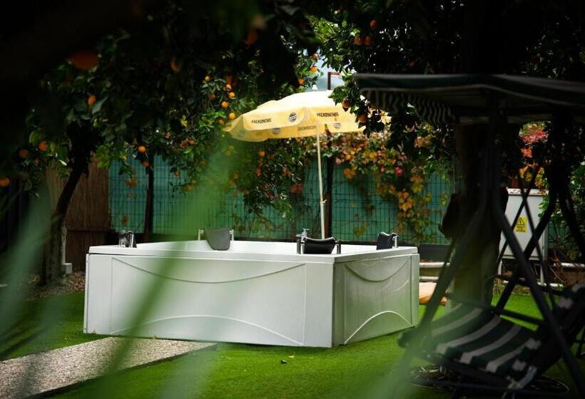 اتاق استاندارد چهارنفره با چشمانداز باغ, Collesium Garden