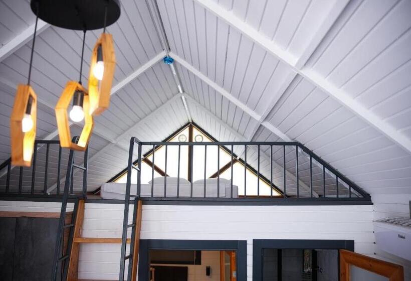 اتاق استاندارد چهارنفره با چشمانداز باغ, Collesium Garden