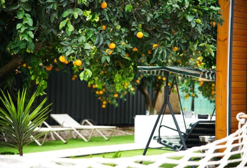 اتاق استاندارد چهارنفره با چشمانداز باغ, Collesium Garden