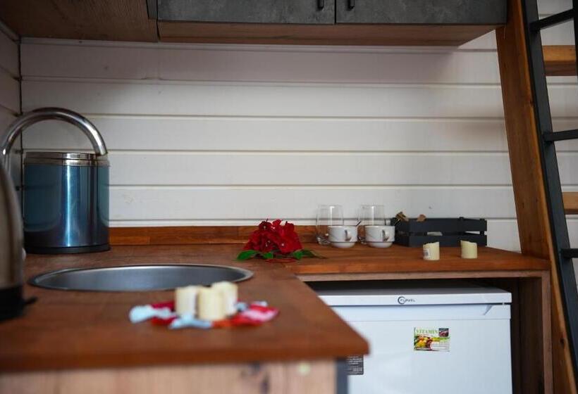 اتاق استاندارد چهارنفره با چشمانداز باغ, Collesium Garden