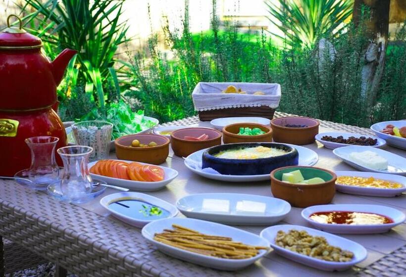 اتاق استاندارد چهارنفره با چشمانداز باغ, Collesium Garden