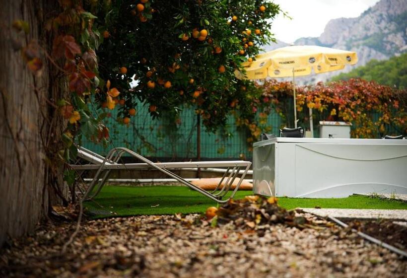 اتاق استاندارد چهارنفره با چشمانداز باغ, Collesium Garden