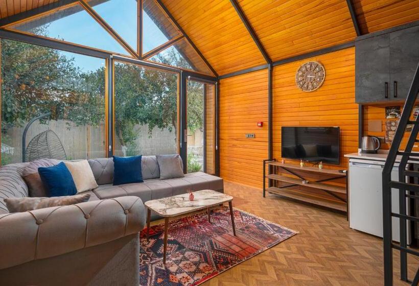 بانگلوی استاندارد, Collesium Garden