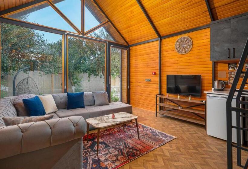 بانگلوی استاندارد, Collesium Garden