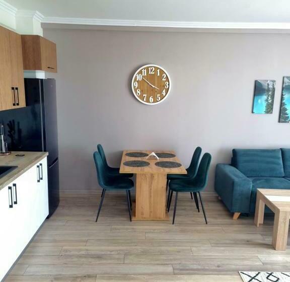 1 Sovrums Lägenhet, Apartamentul ștefan Băile Felix