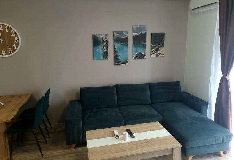 Apartamento 1 Dormitório, Apartamentul ștefan Băile Felix